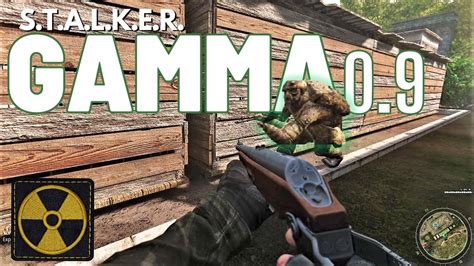stalker update|update stalker gamma.